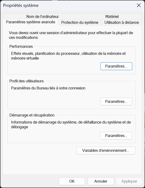 Propriétés système
développement copilot windows python .net