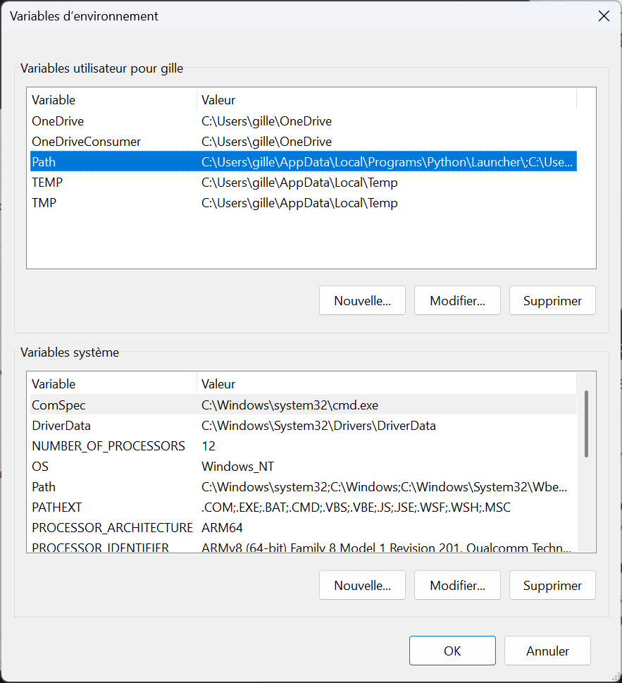 Variables d'environnement
développement copilot windows python .net